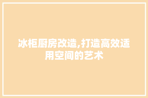 冰柜厨房改造,打造高效适用空间的艺术