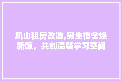 凤山租房改造,男生宿舍焕新颜，共创温馨学习空间(男生宿舍改造方案)