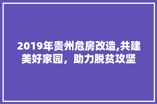 2019年贵州危房改造,共建美好家园，助力脱贫攻坚(贵州危房改造政策)