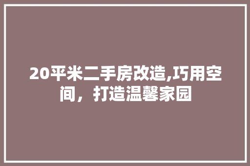 20平米二手房改造,巧用空间，打造温馨家园