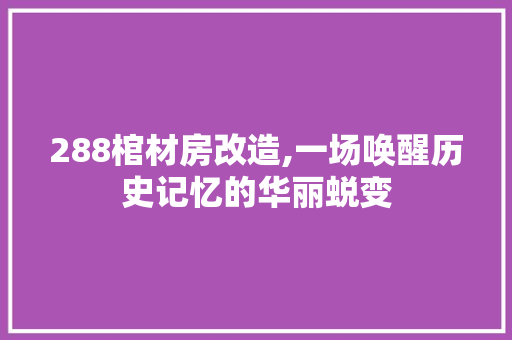288棺材房改造,一场唤醒历史记忆的华丽蜕变(棺材房装修)