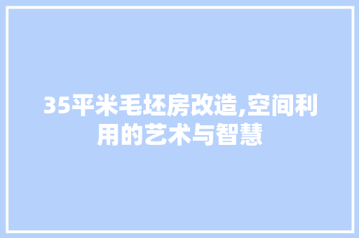 35平米毛坯房改造,空间利用的艺术与智慧 MI家公司推荐