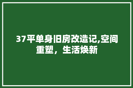 37平单身旧房改造记,空间重塑，生活焕新 MI家公司推荐