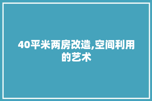 40平米两房改造,空间利用的艺术 MI家装修攻略