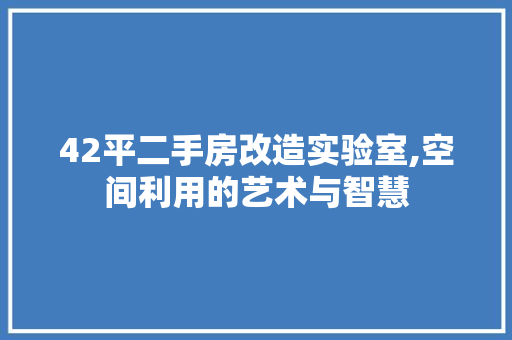 42平二手房改造实验室,空间利用的艺术与智慧 MI家装修攻略