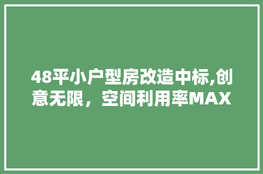 48平小户型房改造中标,创意无限，空间利用率MAX MI家装修经验