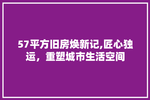 57平方旧房焕新记,匠心独运，重塑城市生活空间(55平旧房改造)