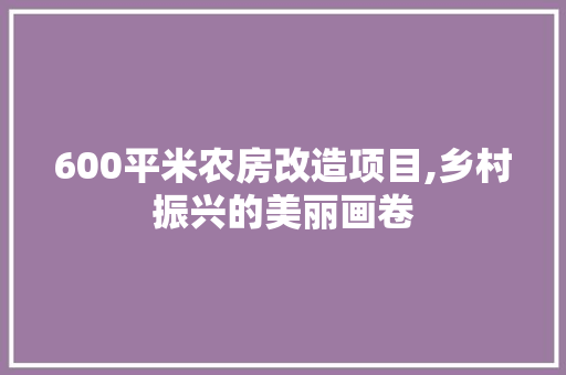 600平米农房改造项目,乡村振兴的美丽画卷