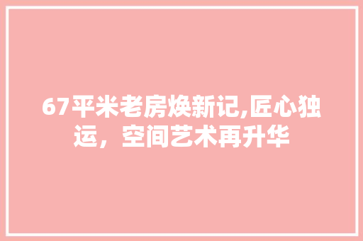 67平米老房焕新记,匠心独运，空间艺术再升华(68平方老房子改造)