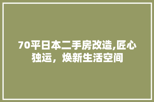 70平日本二手房改造,匠心独运，焕新生活空间