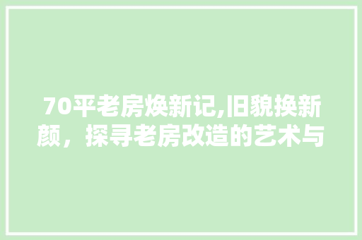 70平老房焕新记,旧貌换新颜，探寻老房改造的艺术与智慧(70平老房子改造案例)