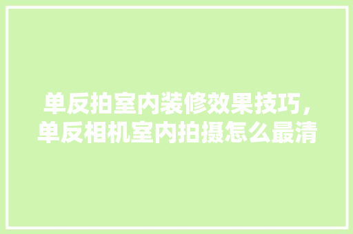 单反拍室内装修效果技巧，单反相机室内拍摄怎么最清晰。(单反室内拍照技巧)