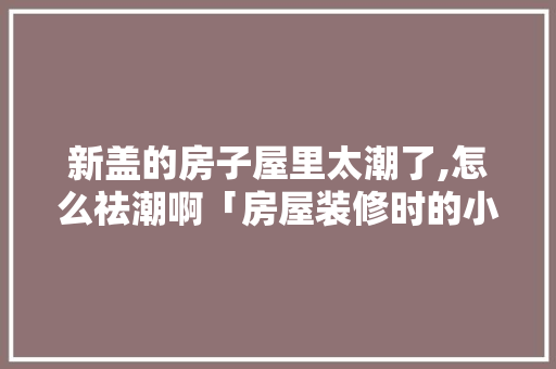 新盖的房子屋里太潮了,怎么祛潮啊「房屋装修时的小技巧有哪些」 新盖的房子屋里太潮了,怎么祛潮啊「房屋装修时的小技巧有哪些」 MI家装修攻略