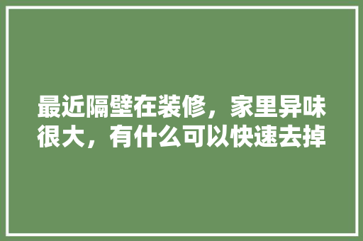 最近隔壁在装修，家里异味很大，有什么可以快速去掉异味的方法吗，有什么推荐「房屋装修简单实用技巧视频」 最近隔壁在装修，家里异味很大，有什么可以快速去掉异味的方法吗，有什么推荐「房屋装修简单实用技巧视频」 MI家设计百科