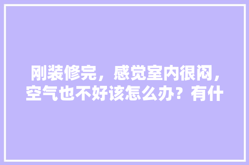 刚装修完，感觉室内很闷，空气也不好该怎么办？有什么换气补氧的方法「房屋内部装修技巧大全集图片」 刚装修完，感觉室内很闷，空气也不好该怎么办？有什么换气补氧的方法「房屋内部装修技巧大全集图片」 MI家装修攻略