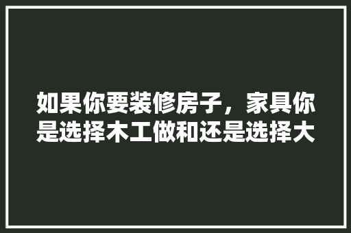 如果你要装修房子，家具你是选择木工做和还是选择大品牌的全屋定制呢「房屋装修与家具搭配技巧视频」 如果你要装修房子，家具你是选择木工做和还是选择大品牌的全屋定制呢「房屋装修与家具搭配技巧视频」 MI家装修攻略