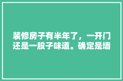 装修房子有半年了，一开门还是一股子味道。确定是墙面的味，应该怎么处理「房屋墙面装修技巧视频」