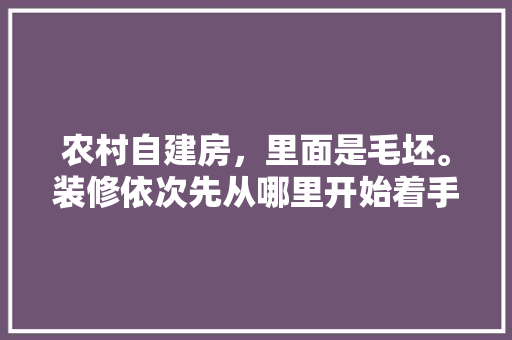 农村自建房，里面是毛坯。装修依次先从哪里开始着手装修起最好「房屋装修的技巧和方法有哪些」 农村自建房，里面是毛坯。装修依次先从哪里开始着手装修起最好「房屋装修的技巧和方法有哪些」 MI家公司推荐