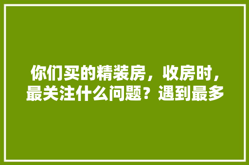你们买的精装房，收房时，最关注什么问题？遇到最多的问题又是什么呢「精装修房屋看房技巧视频」