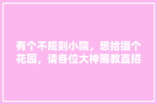 有个不规则小院，想拾掇个花园，请各位大神赐教直招！🙏🙏「不规则房屋装修技巧有哪些」