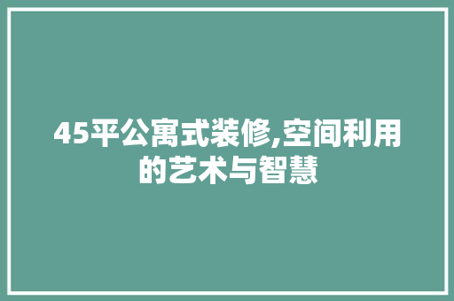 45平公寓式装修,空间利用的艺术与智慧(45平米公寓装修实景)