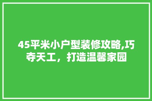 45平米小户型装修攻略,巧夺天工，打造温馨家园 45平米小户型装修攻略,巧夺天工，打造温馨家园 MI家装修攻略