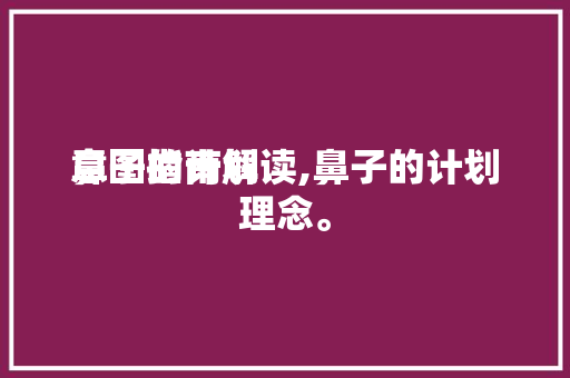 鼻子的计划意图指南解读,鼻子的计划理念。
