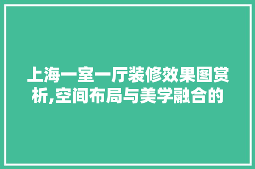 上海一室一厅装修效果图赏析,空间布局与美学融合的艺术展现 上海一室一厅装修效果图赏析,空间布局与美学融合的艺术展现 MI家装修攻略