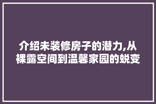 介绍未装修房子的潜力,从裸露空间到温馨家园的蜕变之旅