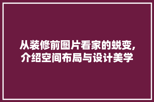 从装修前图片看家的蜕变,介绍空间布局与设计美学 从装修前图片看家的蜕变,介绍空间布局与设计美学 MI家装修经验