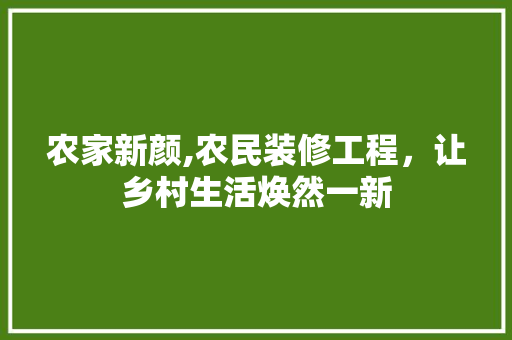 农家新颜,农民装修工程，让乡村生活焕然一新 农家新颜,农民装修工程，让乡村生活焕然一新 MI家装修经验