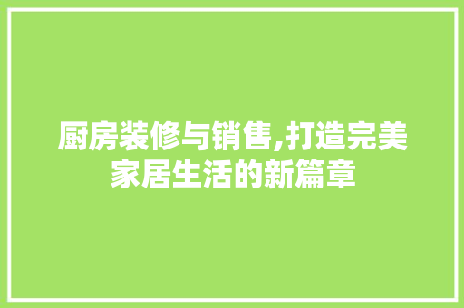 厨房装修与销售,打造完美家居生活的新篇章 厨房装修与销售,打造完美家居生活的新篇章 MI家装修攻略