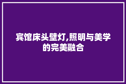 宾馆床头壁灯,照明与美学的完美融合(宾馆床头壁灯图片)