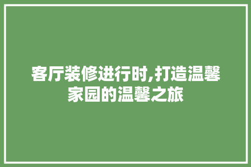 客厅装修进行时,打造温馨家园的温馨之旅 客厅装修进行时,打造温馨家园的温馨之旅 MI家设计指南