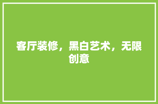 客厅装修，黑白艺术，无限创意 客厅装修，黑白艺术，无限创意 MI家装修攻略