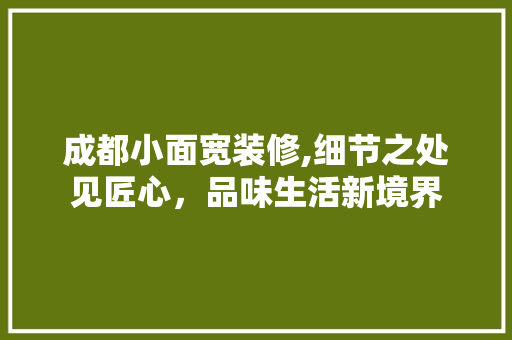成都小面宽装修,细节之处见匠心，品味生活新境界(成都小面的做法与配料)