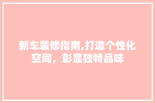 新车装修指南,打造个性化空间，彰显独特品味(新车装修攻略大全)