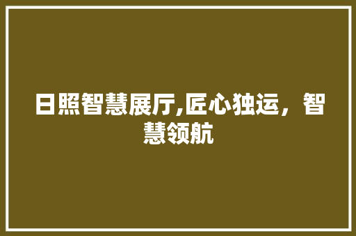 日照智慧展厅,匠心独运，智慧领航 日照智慧展厅,匠心独运，智慧领航 MI家公司推荐