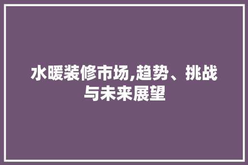 水暖装修市场,趋势、挑战与未来展望