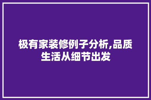 极有家装修例子分析,品质生活从细节出发(极有家装修可靠吗)