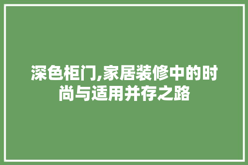 深色柜门,家居装修中的时尚与适用并存之路 深色柜门,家居装修中的时尚与适用并存之路 MI家公司推荐