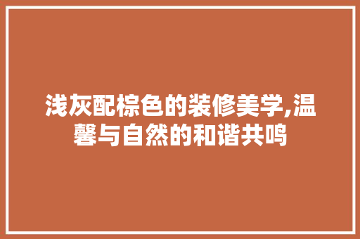 浅灰配棕色的装修美学,温馨与自然的和谐共鸣 浅灰配棕色的装修美学,温馨与自然的和谐共鸣 MI家公司推荐