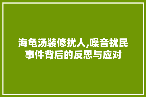 海龟汤装修扰人,噪音扰民事件背后的反思与应对