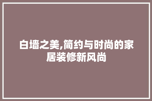白墙之美,简约与时尚的家居装修新风尚(白墙装修效果图)
