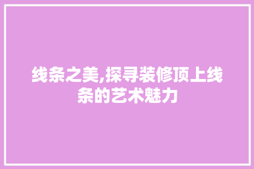 线条之美,探寻装修顶上线条的艺术魅力(顶上线条装饰)