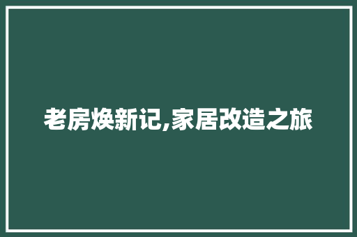 老房焕新记,家居改造之旅(老房改造家具怎么处置)
