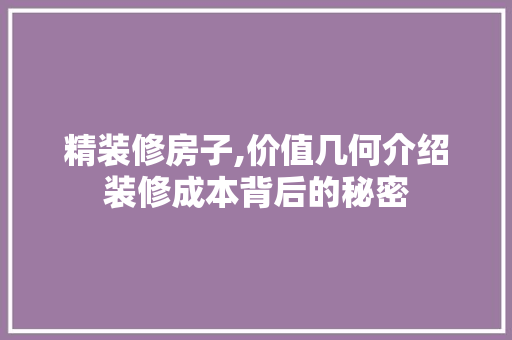 精装修房子,价值几何介绍装修成本背后的秘密