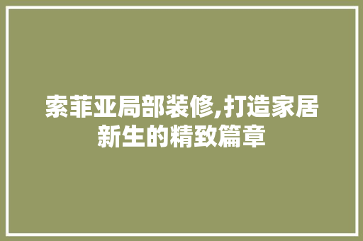 索菲亚局部装修,打造家居新生的精致篇章 索菲亚局部装修,打造家居新生的精致篇章 MI家公司推荐