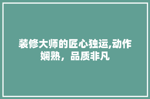 装修大师的匠心独运,动作娴熟，品质非凡 装修大师的匠心独运,动作娴熟，品质非凡 MI家装修攻略