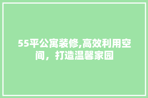 55平公寓装修,高效利用空间，打造温馨家园(55平公寓装修,高效利用空间,打造温馨家园)